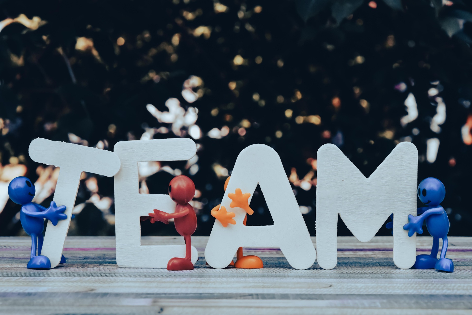 Our Team